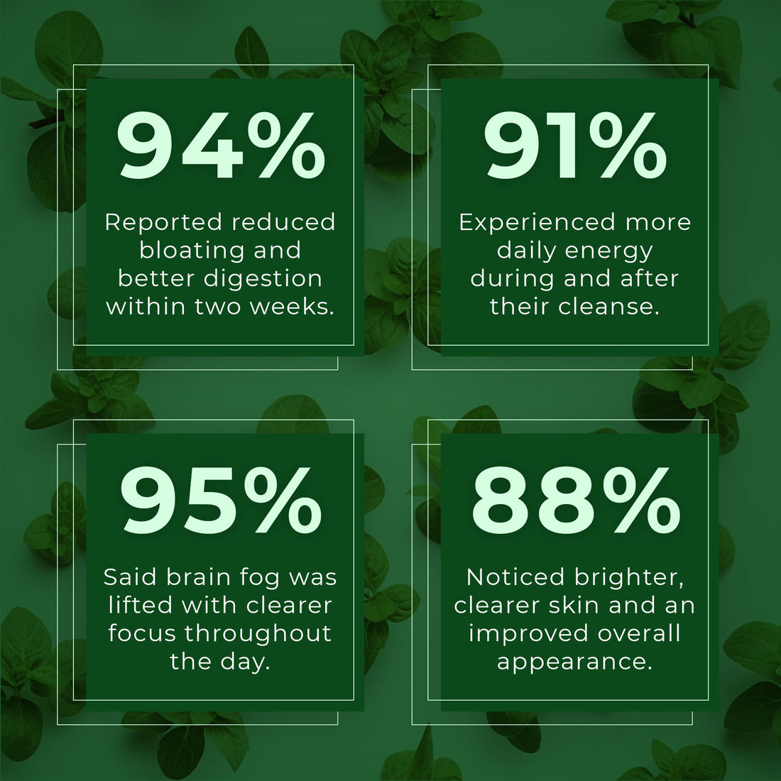 Purevia® Oil Of Oregano Softgels - Naturally Strengthen Immunity and Gut Health from Within